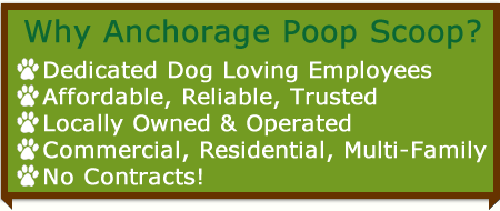 anchorage poop scoop service